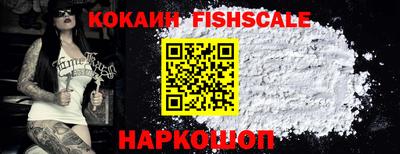 гашик Гусев