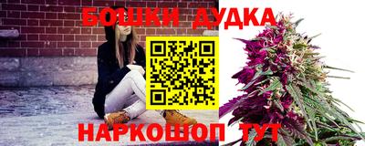 гашик Гусев