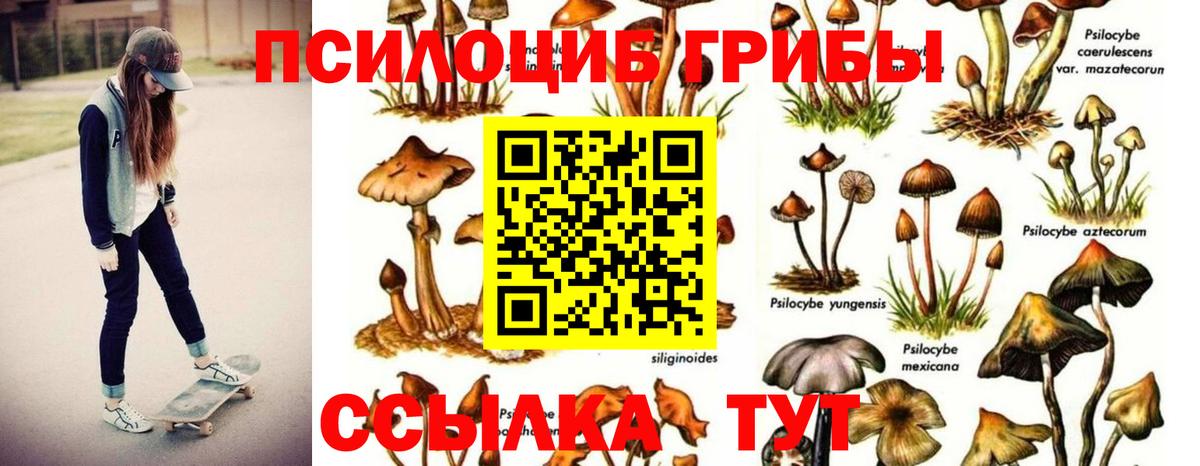 Псилоцибиновые грибы ЛСД Малоярославец