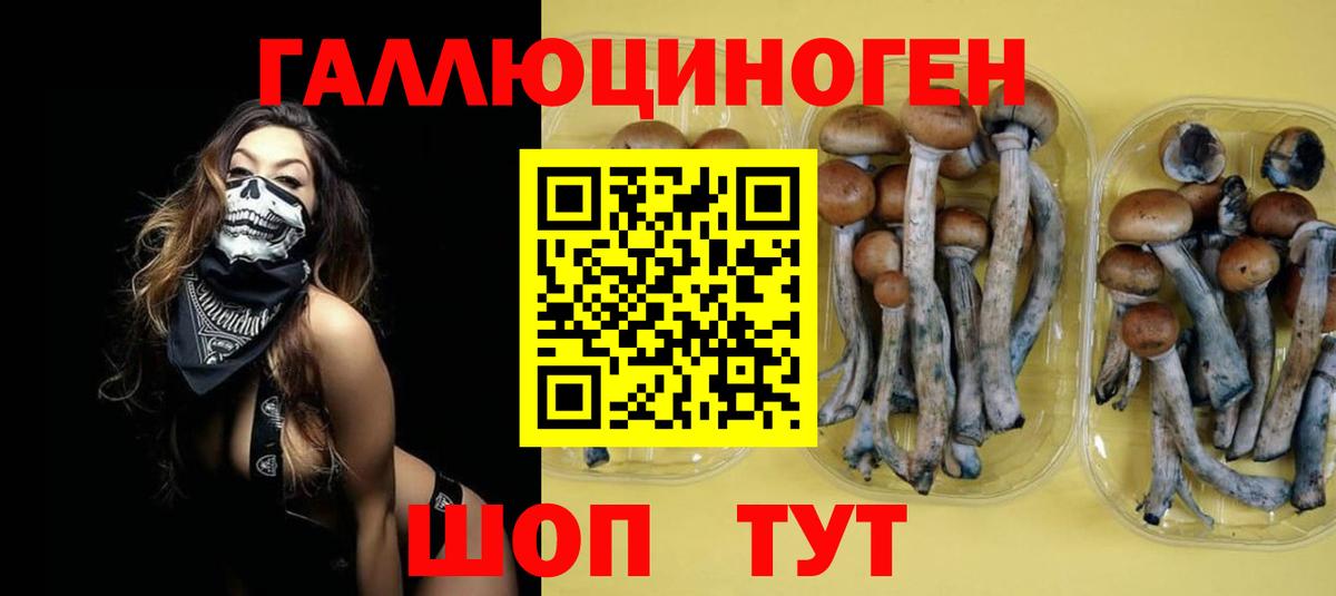 Малоярославец  Галлюциногенные грибы Psilocybine cubensis  Галлюциногенные грибы мицелий  Вход с VPN 